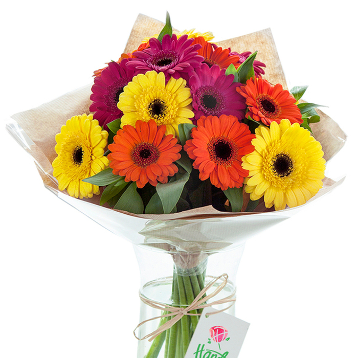 This radiant hand-tied bouquet of Gerbera daisies stands as a vibrant celebration of colour, reminiscent of the playful gardens tucked throughout Petts Wood. Large, cheerful flowers in yellow, orange, and deep magenta are arranged in an artful cluster, each characterized by velvety, petal-rich heads surrounding striking dark centers. The stylish interplay of colours is enhanced by glossy green foliage, woven throughout to add lushness and depth, evoking a walk through the leafy paths beside St. James' Square. Encased in a delicately textured layer of light brown kraft paper and a cone of crystal-clear cellophane, the blossoms are both protected and elevated, their hues glowing under crisp studio lighting. The glass vase, water-filled and transparent, reveals every neatly trimmed stem, while a natural twine bow at the bundle's base suspends a slender white gift tag, adorned with a tastefully painted red rose-an emblem of thoughtful intention. Whether gracing a birthday breakfast table or offered as a spontaneous 'thank you' at a Brooklyn Road doorstep, this bouquet, prepared by Petts Wood's finest florists, radiates a universal message of appreciation and heartfelt celebration, making it a splendid choice for marking life's milestones both big and small.